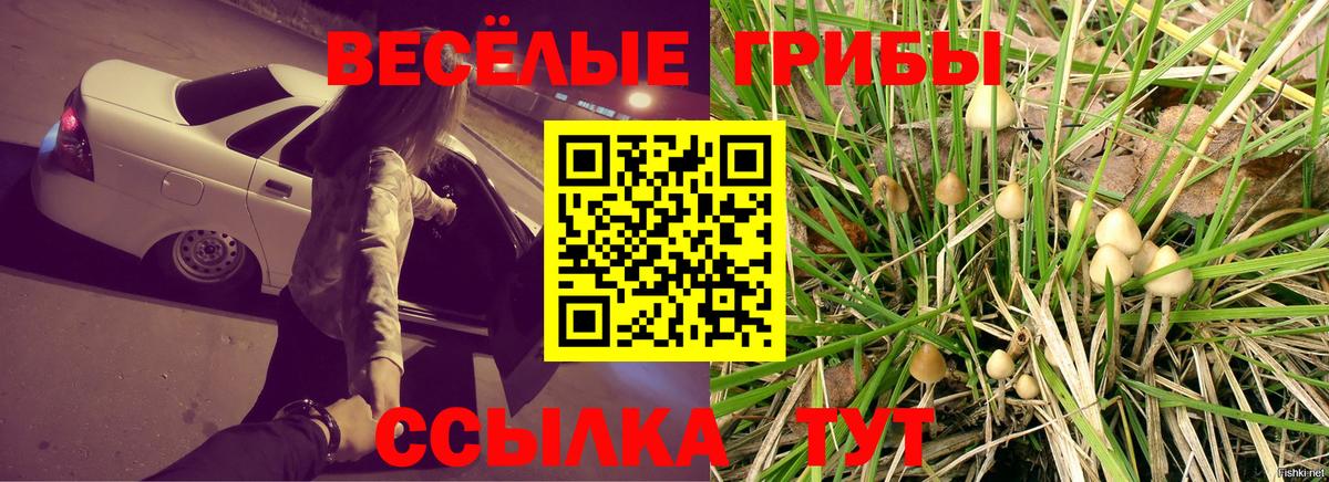 Псилоцибиновые грибы Psilocybine cubensis Рассказово