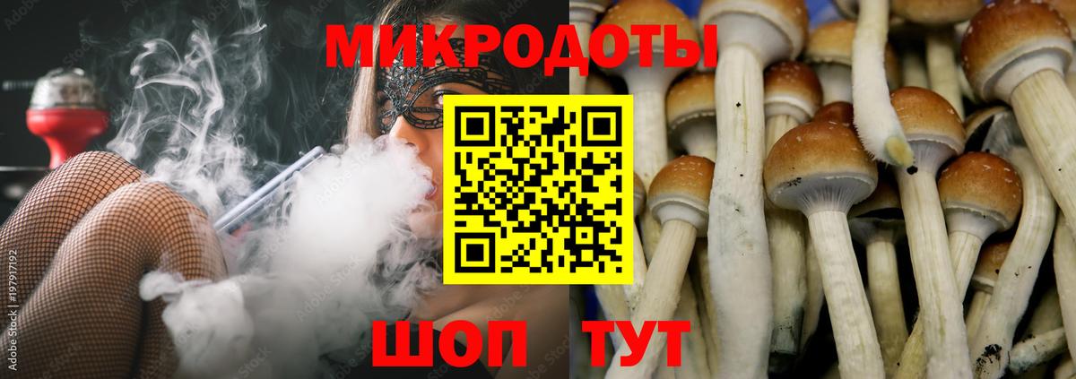 Рассказово  Псилоцибиновые грибы MAGIC MUSHROOMS  Вход с VPN 